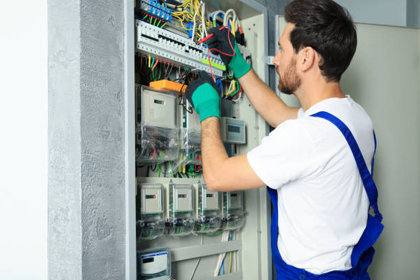 Best Electrical Repair Services  in Morrisonvle, IL
